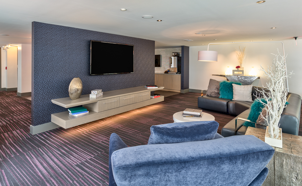 Indoor clubhouse lounging area with couches, chairs, and TV